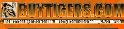 tiger compra online